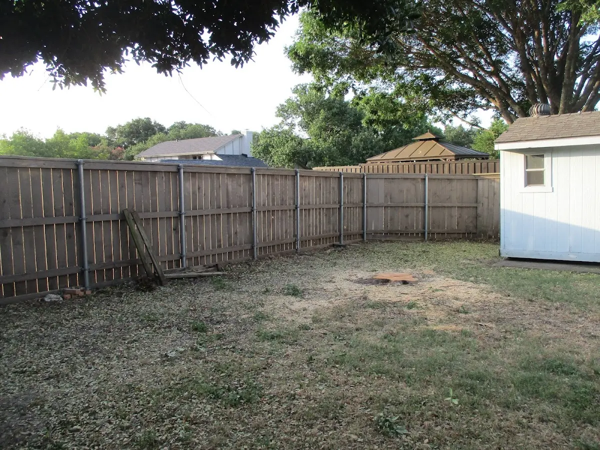 Cleared yard after professional tree removal in Columbus
