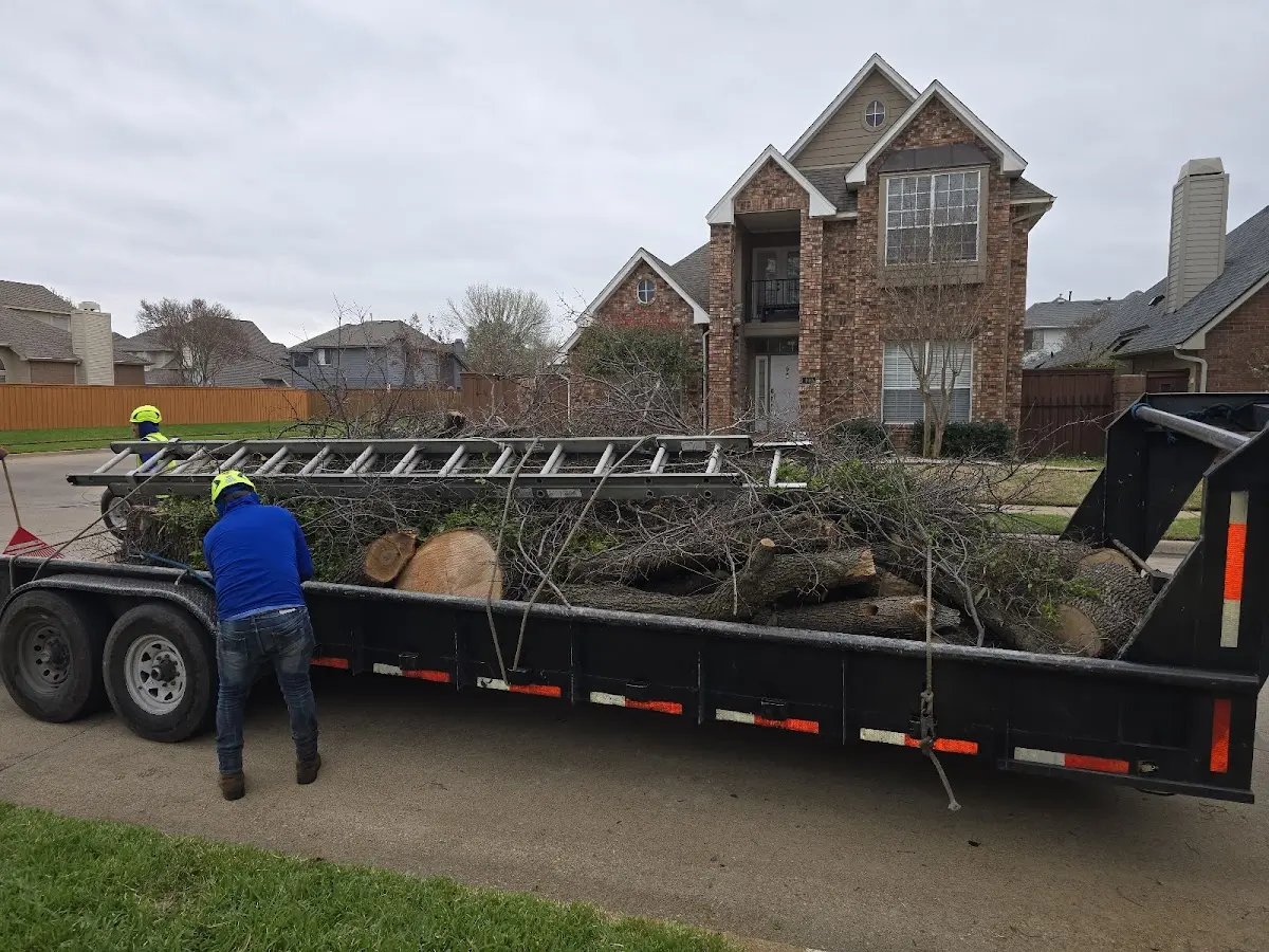 Expert Tree Pest Control with proper safety equipment in Columbus